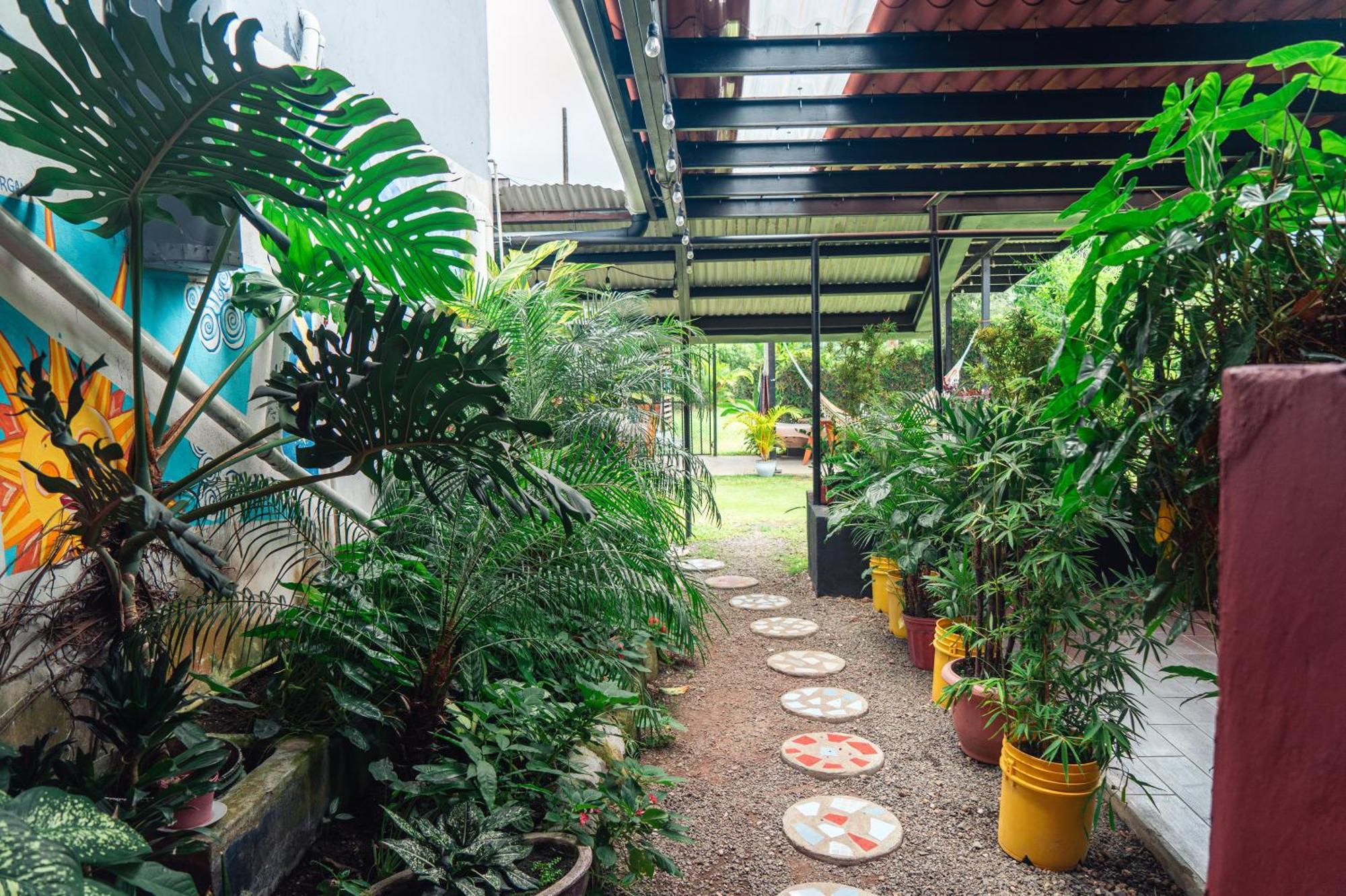 Bodhi Hostel & Lounge El Valle de Anton المظهر الخارجي الصورة