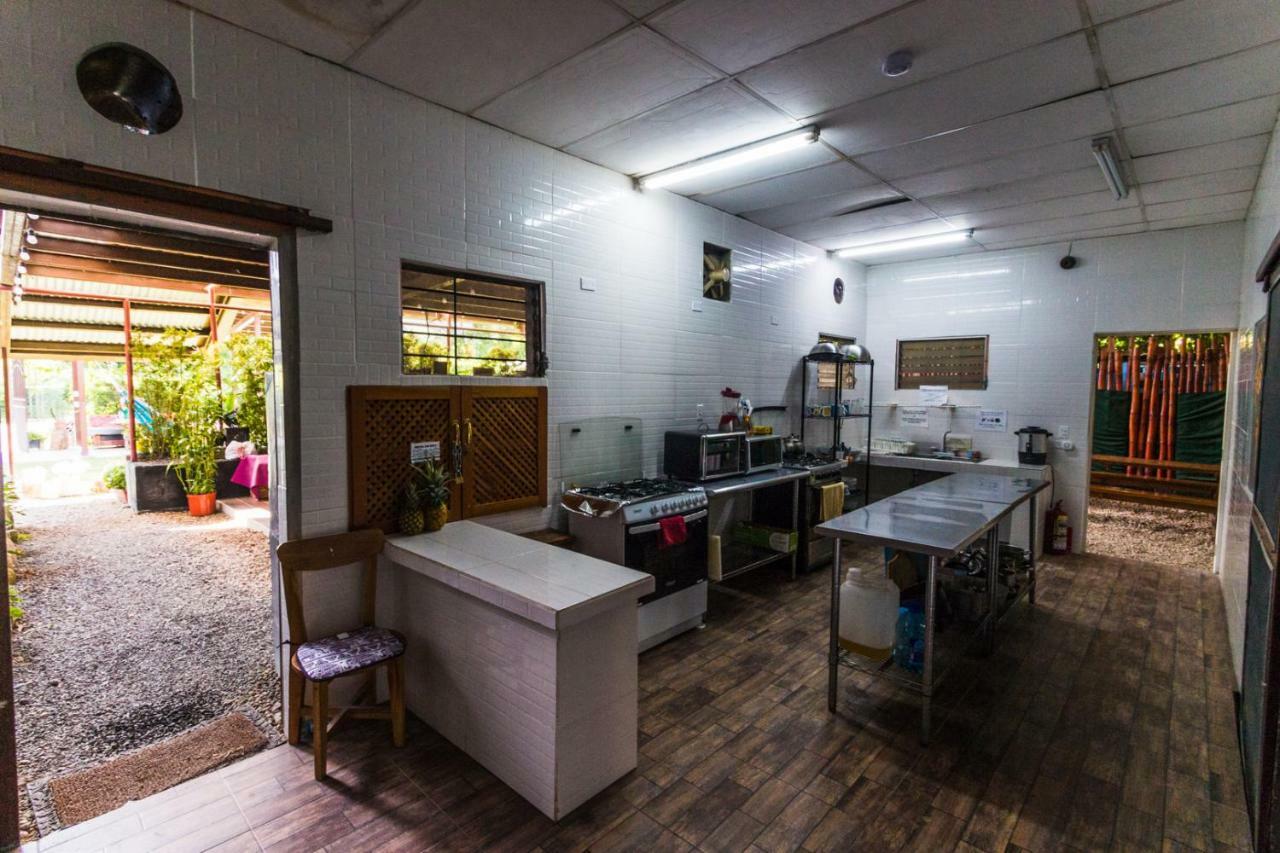 Bodhi Hostel & Lounge El Valle de Anton المظهر الخارجي الصورة